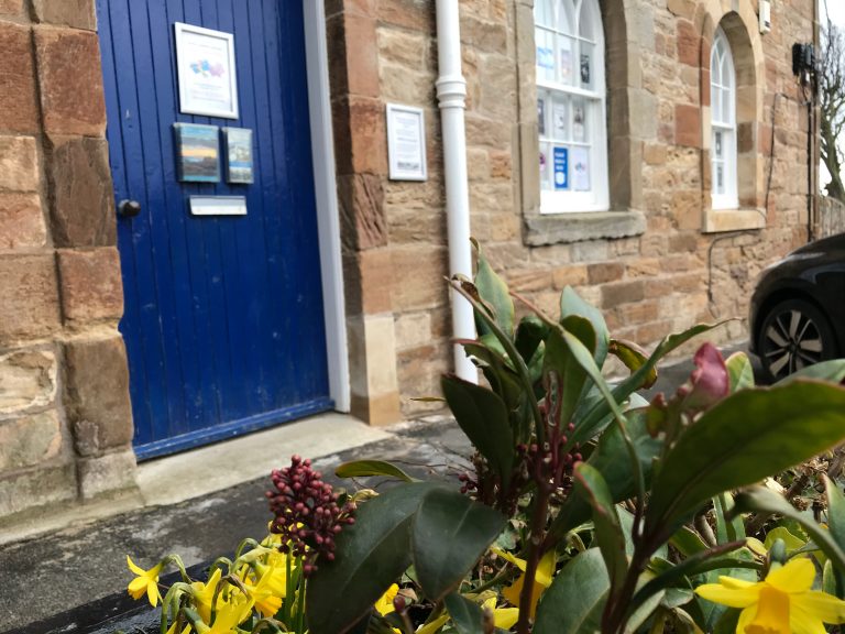 Read more about the article Spring in the library