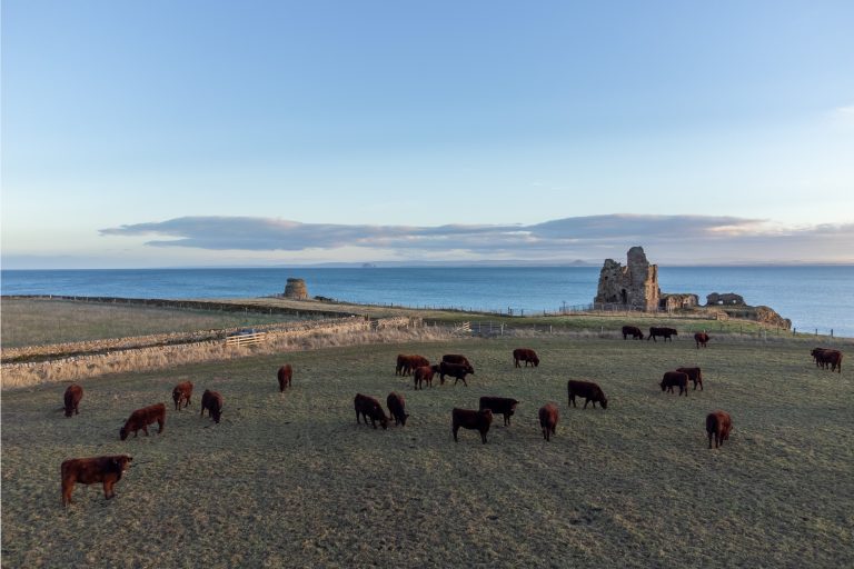 Read more about the article 13 April – Balcaskie Estate – what we do and why