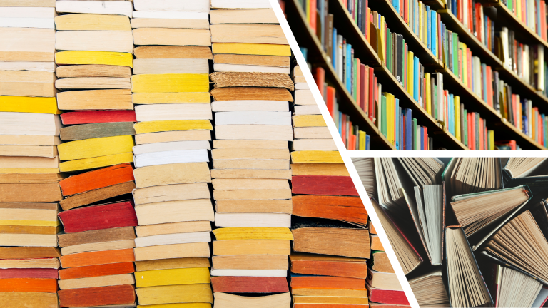 Read more about the article Our shelves (and storage areas) are full!