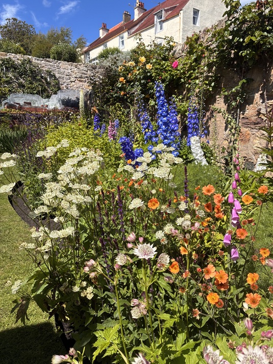 Read more about the article Pittenweem Post – Issue 42 – July 2026